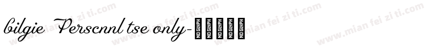 bilgie Perscnnl tse only字体转换